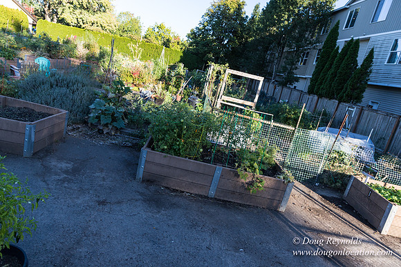 Beaverton C Garden-3957
