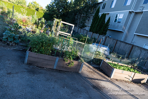 Beaverton C Garden-3958