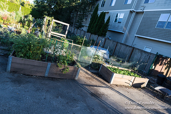 Beaverton C Garden-3959