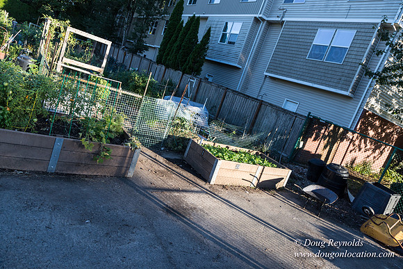 Beaverton C Garden-3960