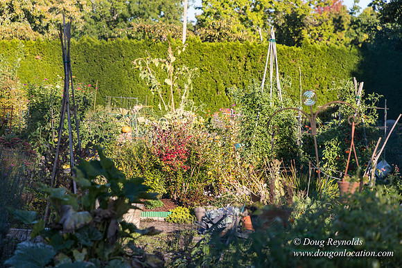 Beaverton C Garden-3961