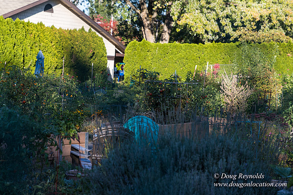 Beaverton C Garden-3962