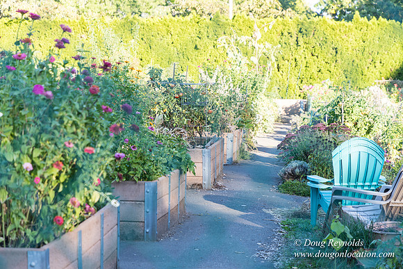 Beaverton C Garden-3964