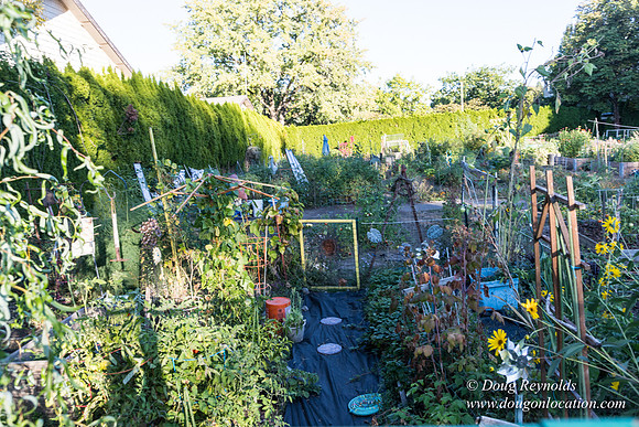Beaverton C Garden-3966