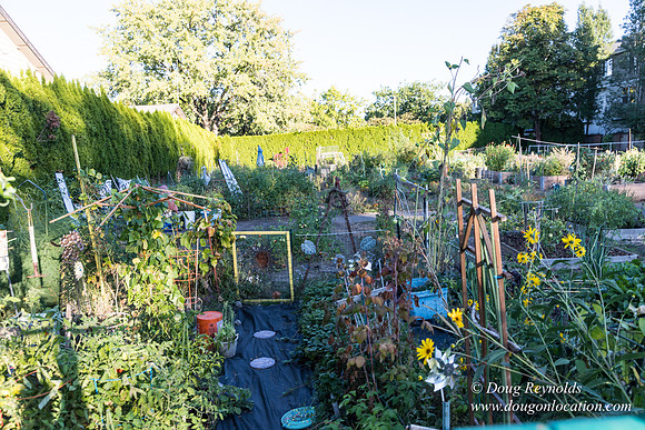 Beaverton C Garden-3967