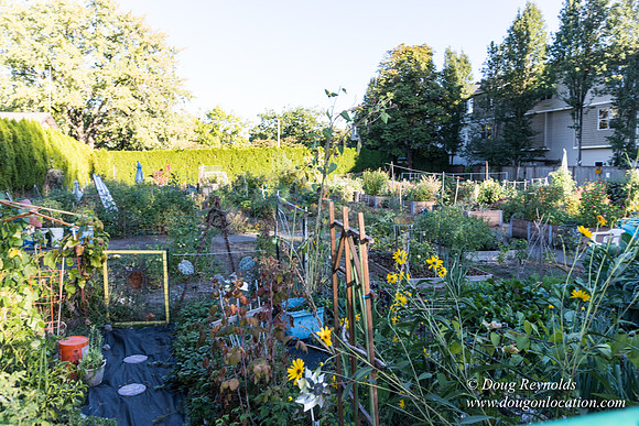 Beaverton C Garden-3968
