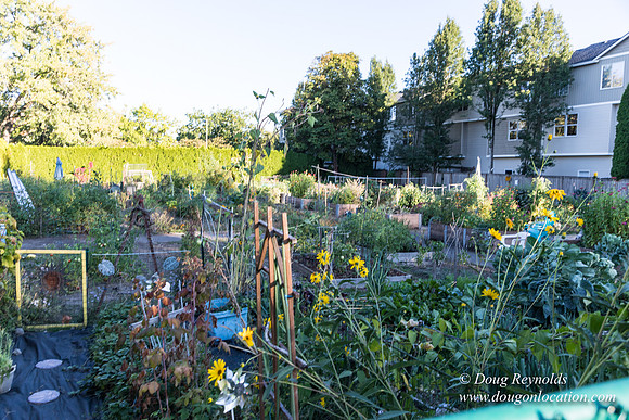 Beaverton C Garden-3969