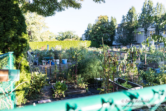 Beaverton C Garden-3974