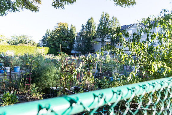 Beaverton C Garden-3976