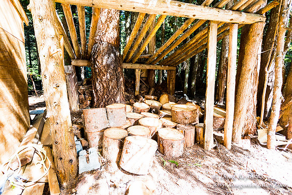 Karri's Cabin