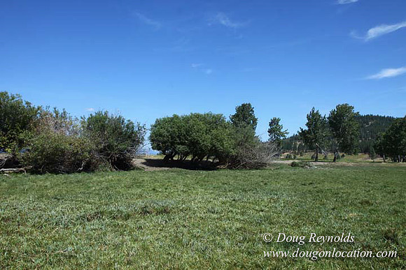 2500 Acres of green fields Creeks water crossing Bridges on a Large Lake and miles of Dirt roads Oak trees Forest land ATV Trails cows