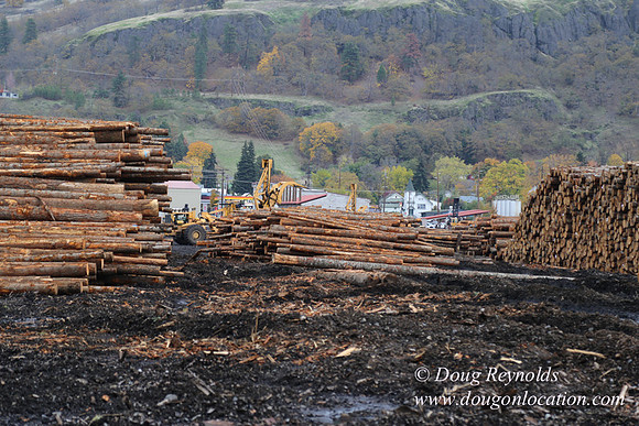 SDS Lumber-1433