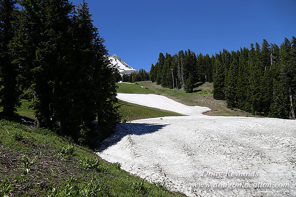 Medow's Snow-5773