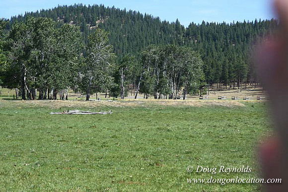 2500 Acres of green fields Creeks water crossing Bridges on a Large Lake and miles of Dirt roads Oak trees Forest land ATV Trails cows