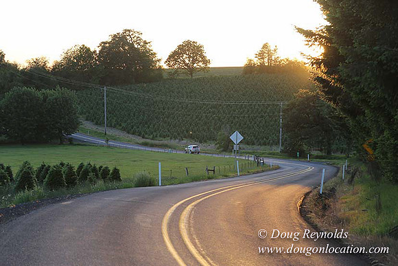 Hwy 214 M18-7658