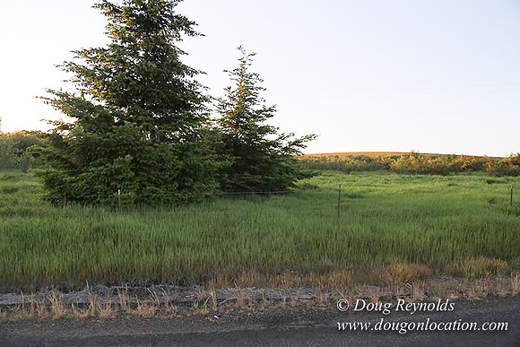 Hwy 214 M18-7613