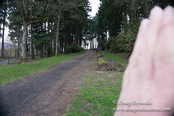 Sellwood Park-2341