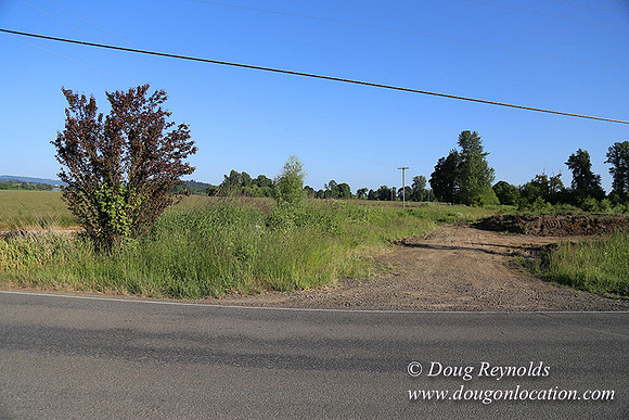 Moores Rd 1-7008