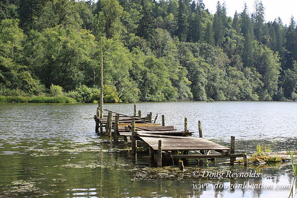 Roberts Lake House-4842