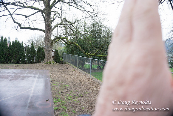 Sellwood Park-2362