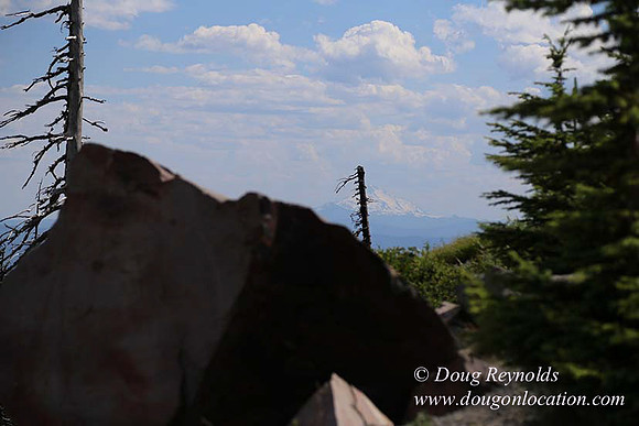 Timberline East rock-6803