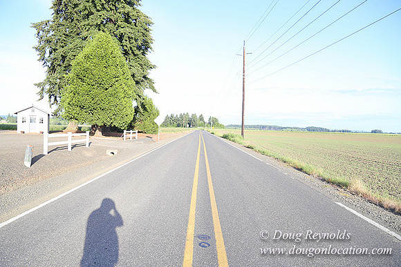 Toms Rd Side-6344