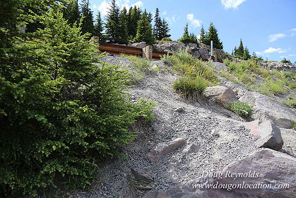 Timberline East rock-6775