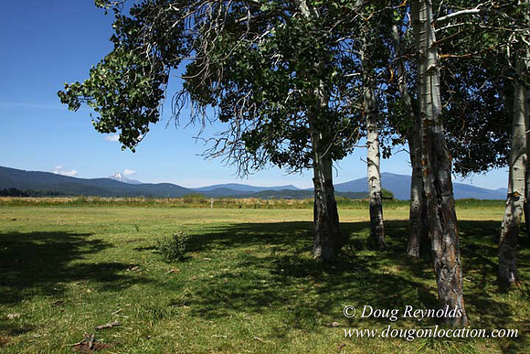 2500 Acres of green fields Creeks water crossing Bridges on a Large Lake and miles of Dirt roads Oak trees Forest land ATV Trails cows