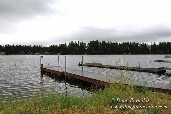 Cabin, Curtis, Dock, Green, Home, Lake, Small, WA, Washington, Yard, Yard, deck