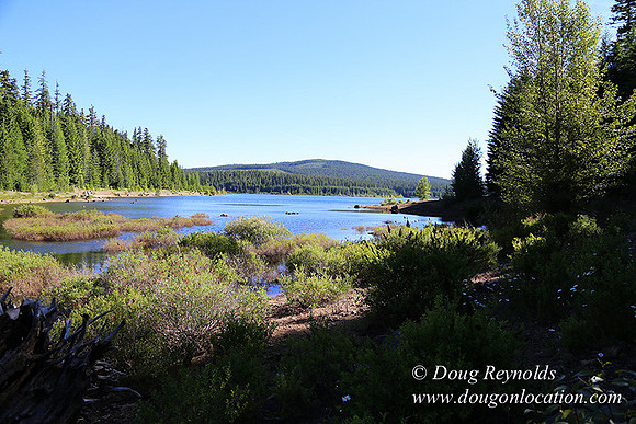 Clear Lake-3613