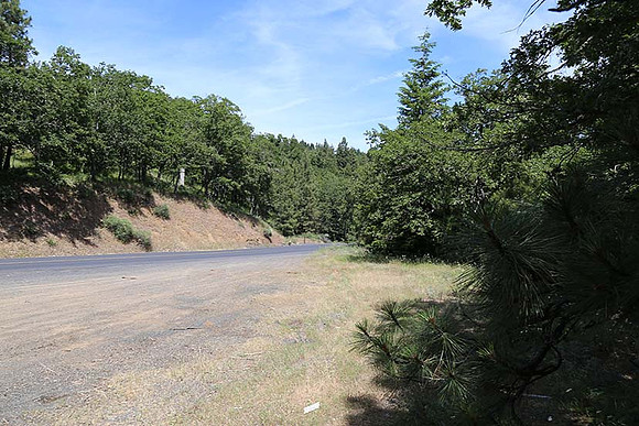 Canyon Rd 2-7993