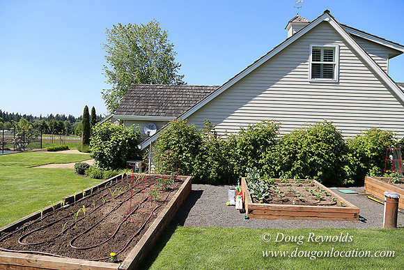 Charlie's  House-5535