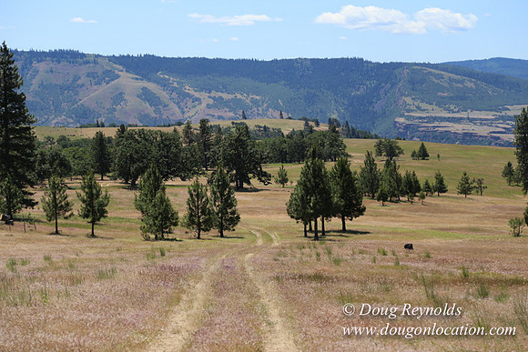 Brothers Ranch-8466