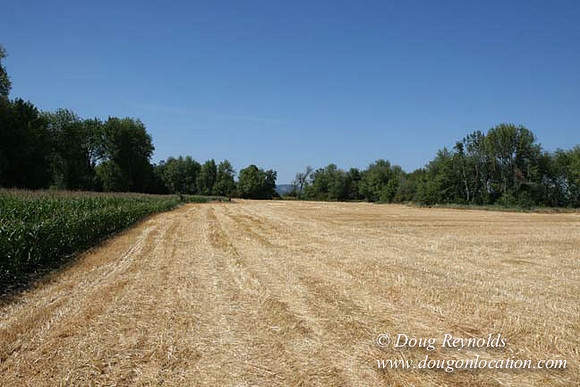 Farm 4 has Barns Shops they grow Wheat and Corn.  in the Portland Zone
