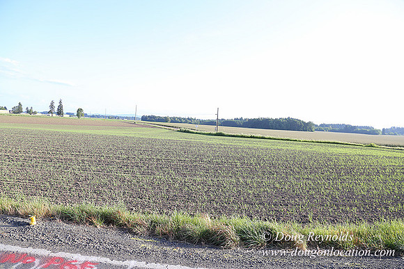 Toms Rd Side-6347