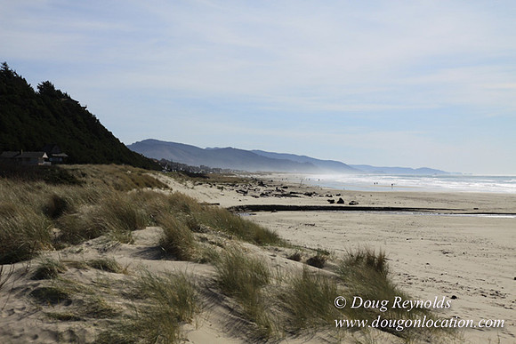 33 Beach MB3 Large Long Deep Sand Beach