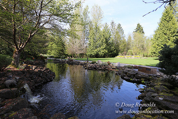 Brians Pond & Drive-9931