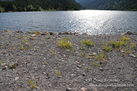 Laurance East Side Dam-4336