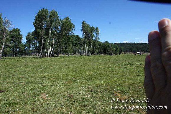 2500 Acres of green fields Creeks water crossing Bridges on a Large Lake and miles of Dirt roads Oak trees Forest land ATV Trails cows