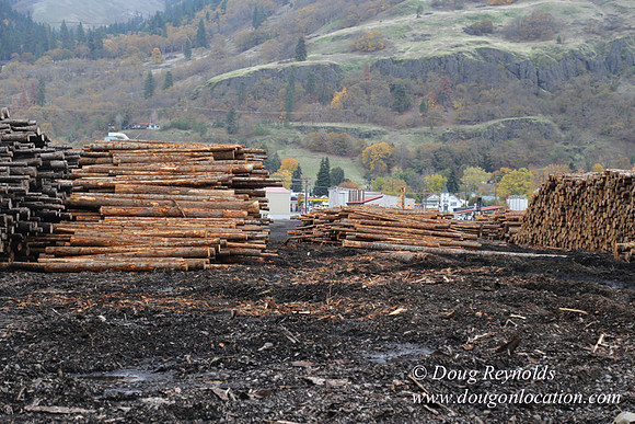 SDS Lumber-1425
