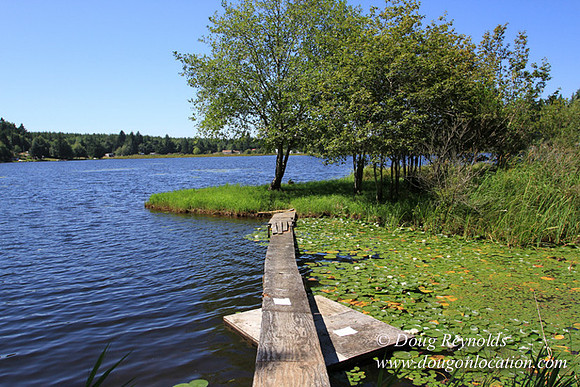 Richter Lake House-8401