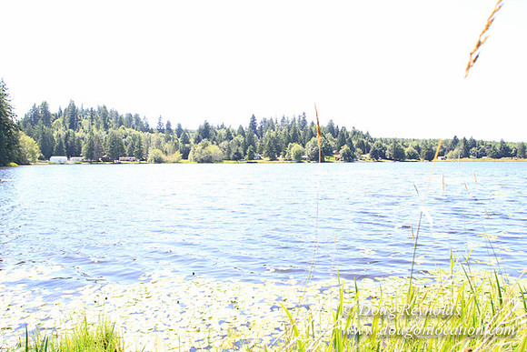 Richter Lake House-8429