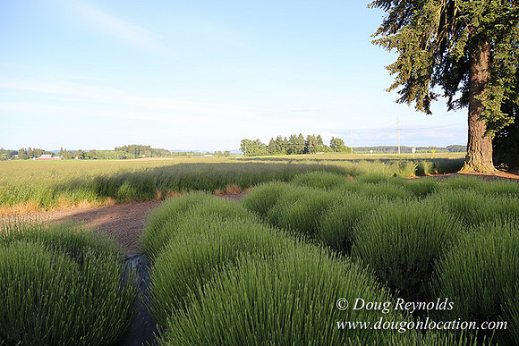 Toms Rd Side-6375