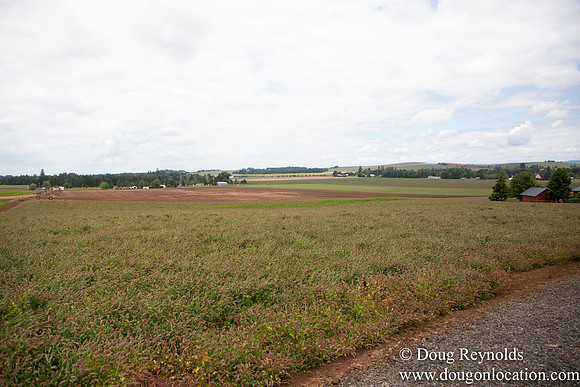D & D Grass Seed Farm Home on Lake
