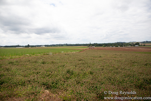 D & D Grass Seed Farm Home on Lake