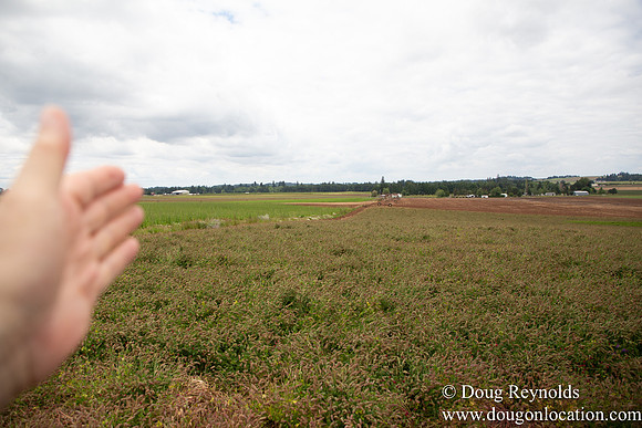 D & D Grass Seed Farm Home on Lake