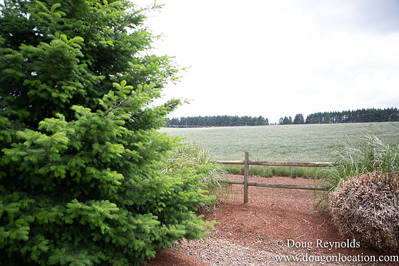 D & D Grass Seed Farm Home on Lake