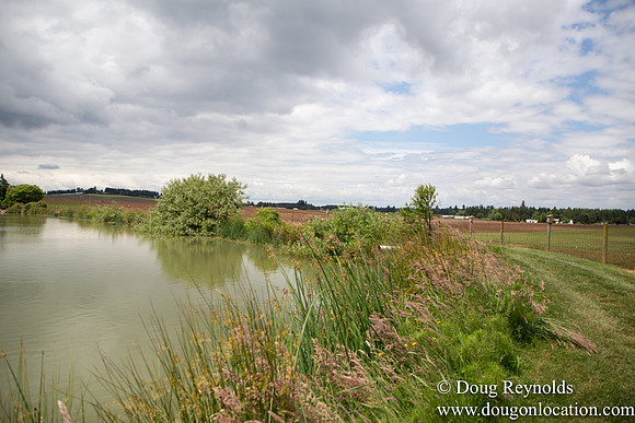 D & D Grass Seed Farm Home on Lake