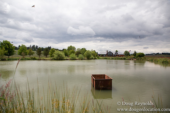 D & D Grass Seed Farm Home on Lake