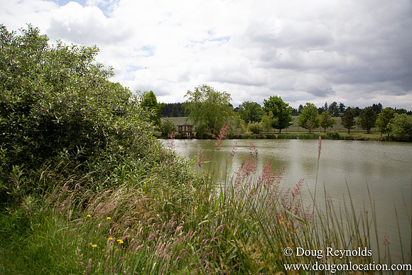 D & D Grass Seed Farm Home on Lake